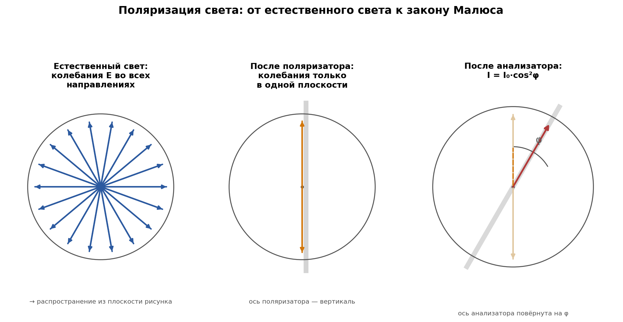 fig3_polyarizatsiya.png